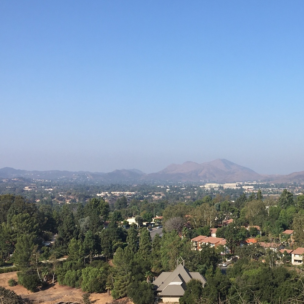 Meet your Posher, Harper